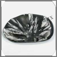CHRYSANTHEMUM Stone - Galet de Soins - 35 grammes - 65x40 mm - C001