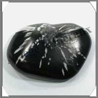 CHRYSANTHEMUM Stone - Galet de Soins - 47 grammes - 55x38 mm - C003